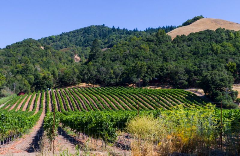 Local Custom Home Construction in Santa Rosa, CA